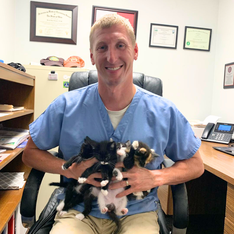 veterinary care veterinary hospitals